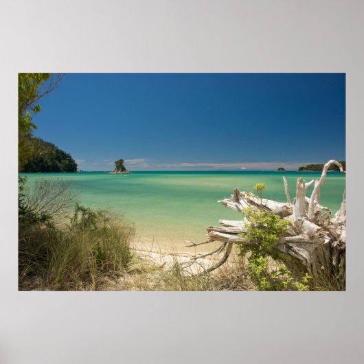 Treibholz Poster (Vorne)