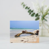 Treibholz Postkarte (Stehend Vorderseite)