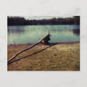 Treibholz Postkarte (Vorderseite)