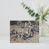 Treibholz Postkarte (Stehend Vorderseite)