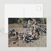 Treibholz Postkarte (Vorne/Hinten)