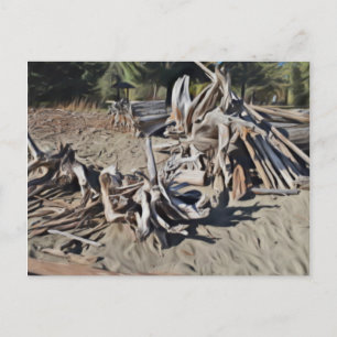 Treibholz Postkarte