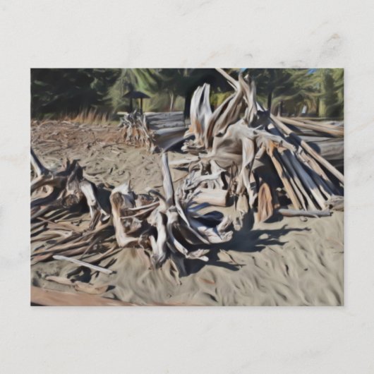 Treibholz Postkarte (Vorderseite)