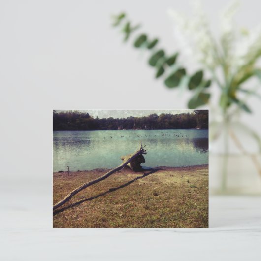 Treibholz Postkarte (Stehend Vorderseite)