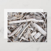 Treibholz Postkarte (Vorne/Hinten)