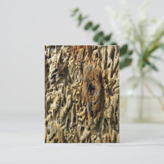 Treibholz Postkarte (Stehend Vorderseite)