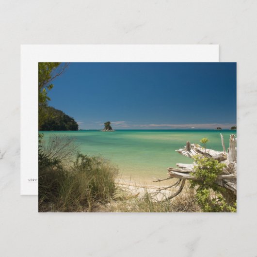 Treibholz Postkarte (Vorne/Hinten)