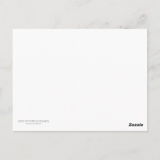 Treibholz Postkarte (Rückseite)