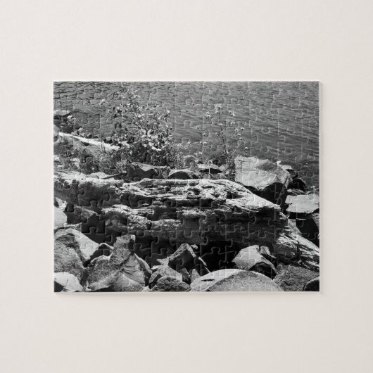 Treibholz Puzzle (Horizontal)