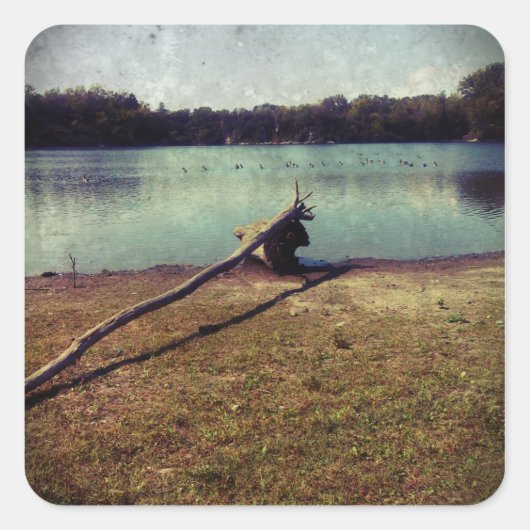 Treibholz Quadratischer Aufkleber (Vorderseite)