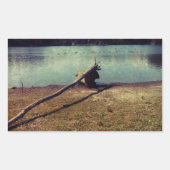 Treibholz Rechteckiger Aufkleber (Vorderseite)