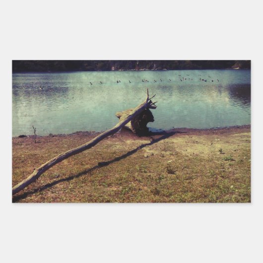 Treibholz Rechteckiger Aufkleber (Vorderseite)