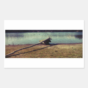 Treibholz Rechteckiger Aufkleber