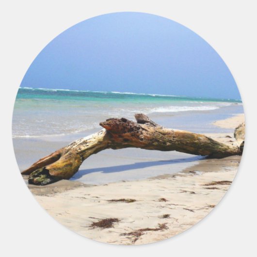 Treibholz Runder Aufkleber (Vorderseite)