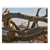 Treibholz-Strand calander Kalender (Titelbild)