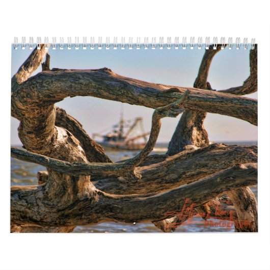 Treibholz-Strand calander Kalender (Titelbild)