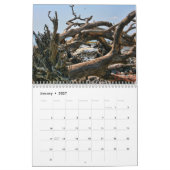 Treibholz-Strand calander Kalender (Jan 2027)