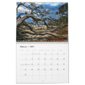 Treibholz-Strand calander Kalender (Feb 2027)