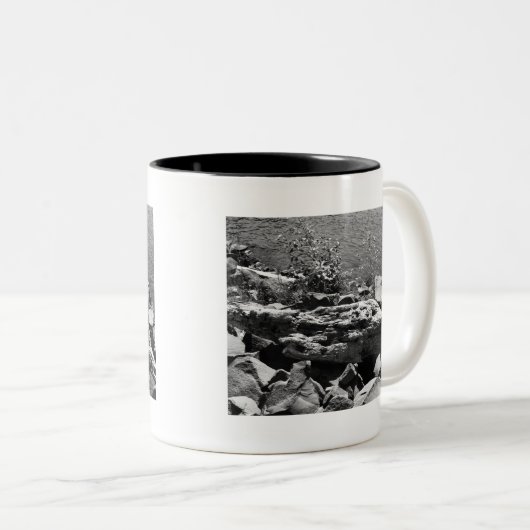 Treibholz Zweifarbige Tasse (VorderseiteRechts)