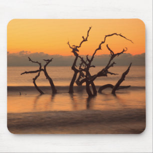 Treibholzstrand bei Sonnenaufgang Jekyll Island Ge Mousepad