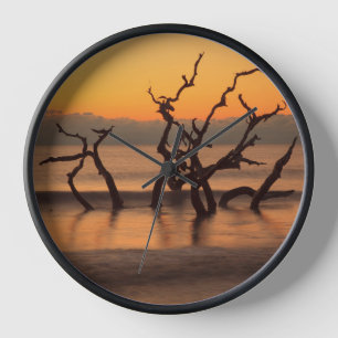 Treibholzstrand bei Sonnenaufgang Jekyll Island Ge Uhr