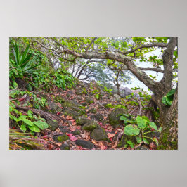 Trekking auf dem Kalalau-Weg, an der Küste Napalis Poster