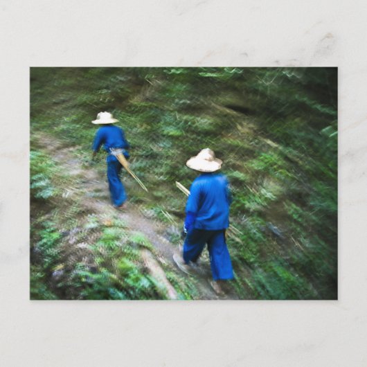 Trekking durch den thailändischen Dschungel Postkarte (Vorderseite)