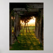 Trellis bei Sunrise Poster (Vorne)