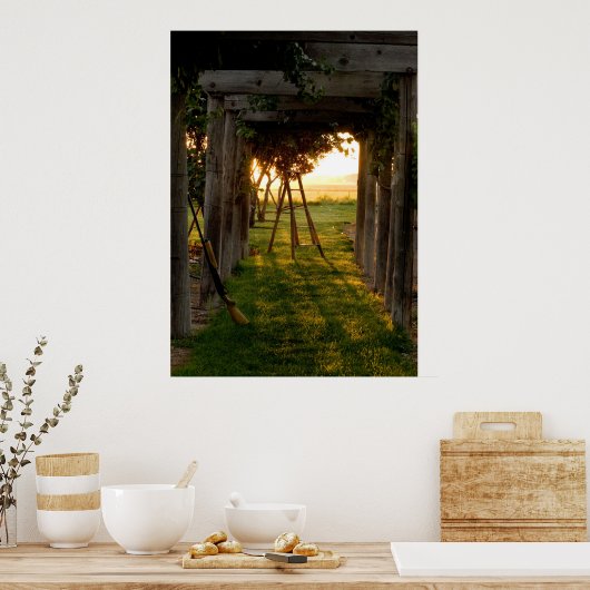 Trellis bei Sunrise Poster (Küche)