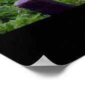 Trellis Tunnel - Deutschland Poster (Ecke)