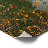 Treman Lake Poster (Ecke)