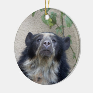 Tremarctos ornatus - Brillenbär Keramik Ornament
