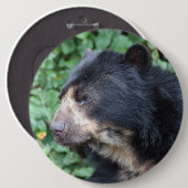 Tremarctos ornatus button (Vorne & Hinten)