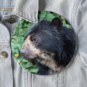 Tremarctos ornatus button (Beispiel)