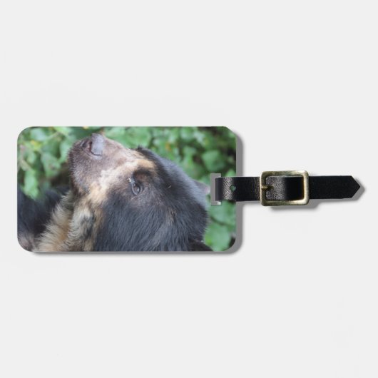 Tremarctos ornatus gepäckanhänger (Vorderseite horizontal)