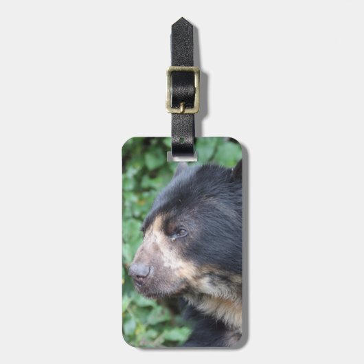 Tremarctos ornatus gepäckanhänger (Vorderseite vertikal)