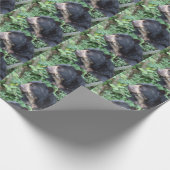 Tremarctos ornatus geschenkpapier (Ecke)