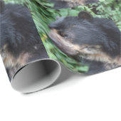 Tremarctos ornatus geschenkpapier (Rolleneckpunkt)