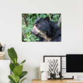 Tremarctos ornatus poster (Heimbüro)