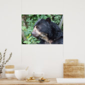 Tremarctos ornatus poster (Küche)