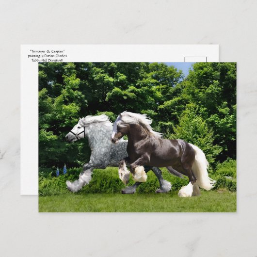 "Tremayne & Caspian" Postkarte (Vorne/Hinten)