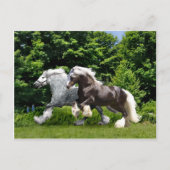 "Tremayne & Caspian" Postkarte (Vorderseite)