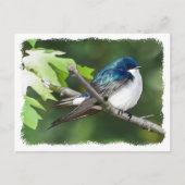 Tremeschlaf - Postkarte (Vorderseite)