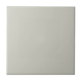 Trend Color - Light Silver Grey Deko Keramik Tile Fliese