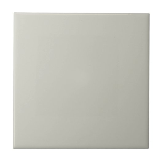 Trend Color - Light Silver Grey Deko Keramik Tile Fliese (Vorderseite)