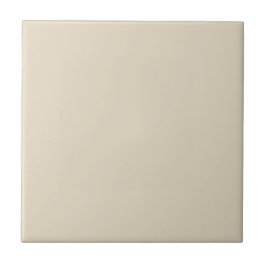 Trend Farbe Naturbeige Dekorative Keramik Tile Fliese