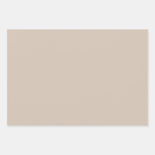 Trend Farbe - Schnelle Taupe Papiertüten Geschenkpapier Set (Vorderseite)