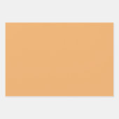 Trend Farbe - weiche, orangefarbene Papiertücher Geschenkpapier Set (Vorderseite 3)