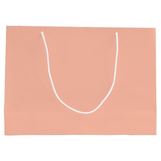 Trend Farbe - weiche Pfirsichtasche Große Geschenk Große Geschenktüte (Rückseite)