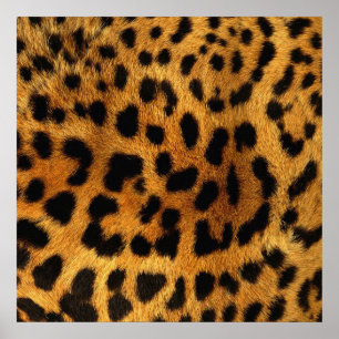 trendiger, schicker Tiermuster brauner Leopardendr Poster